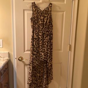 Leopard high low can dress it up or casual brunch dress